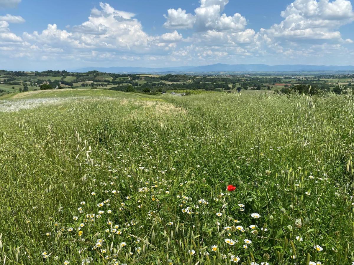 Agriturismo La Collina Siena Exteriér fotografie