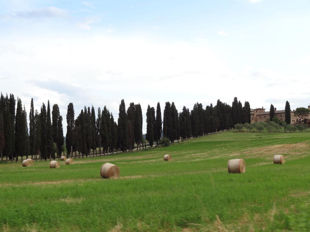 Agriturismo La Collina Siena Exteriér fotografie