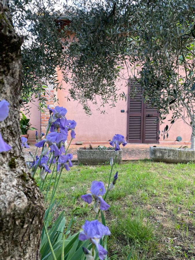 Agriturismo La Collina Siena Exteriér fotografie