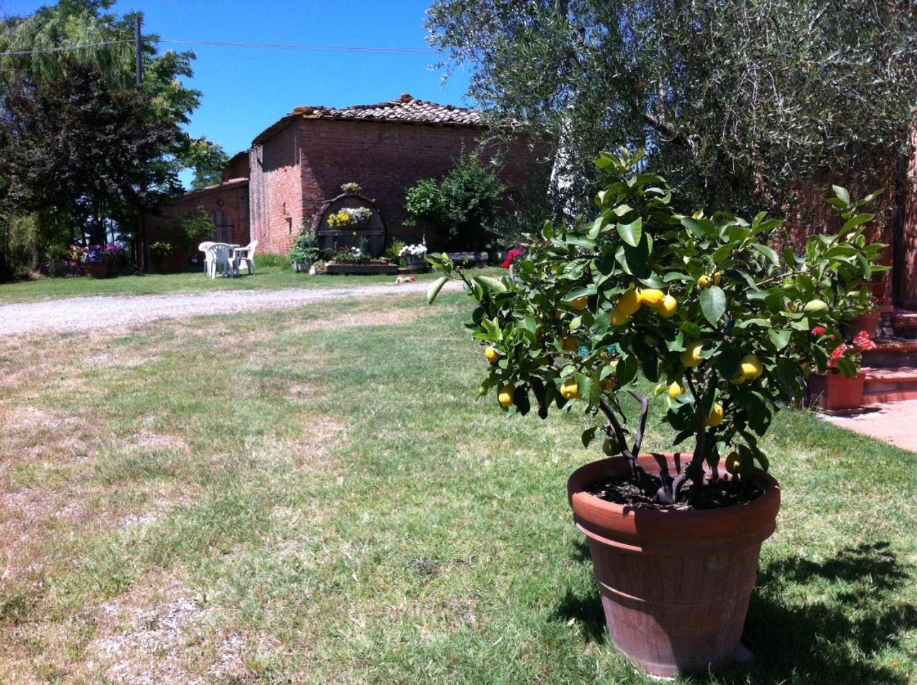 Agriturismo La Collina Siena Exteriér fotografie